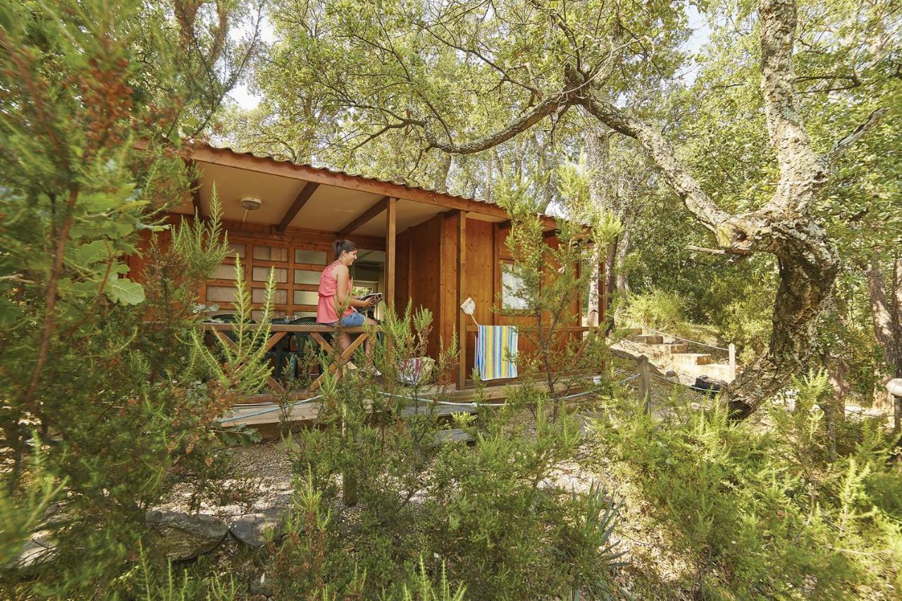 Camping Des Alberes Laroque-des-Alberes ภายนอก รูปภาพ