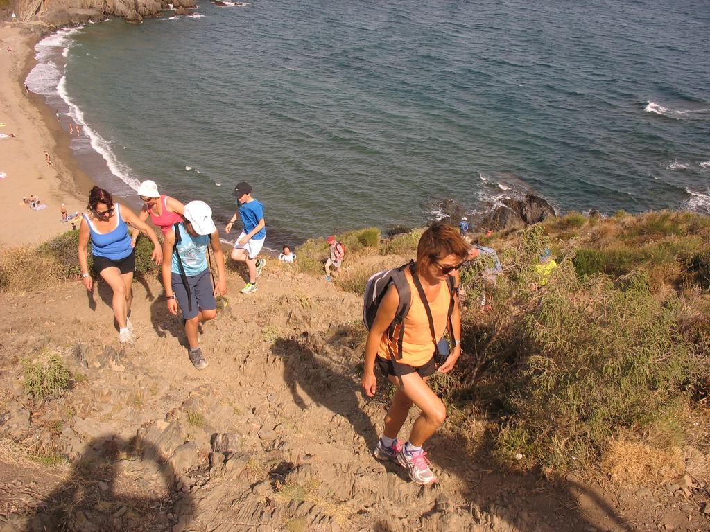 Camping Des Alberes Laroque-des-Alberes ภายนอก รูปภาพ