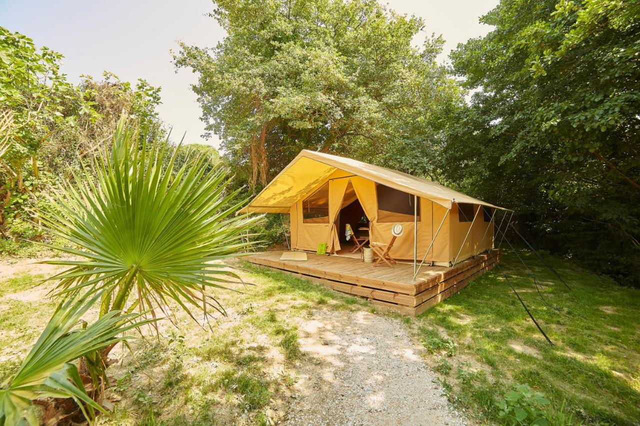 Camping Des Alberes Laroque-des-Alberes ภายนอก รูปภาพ