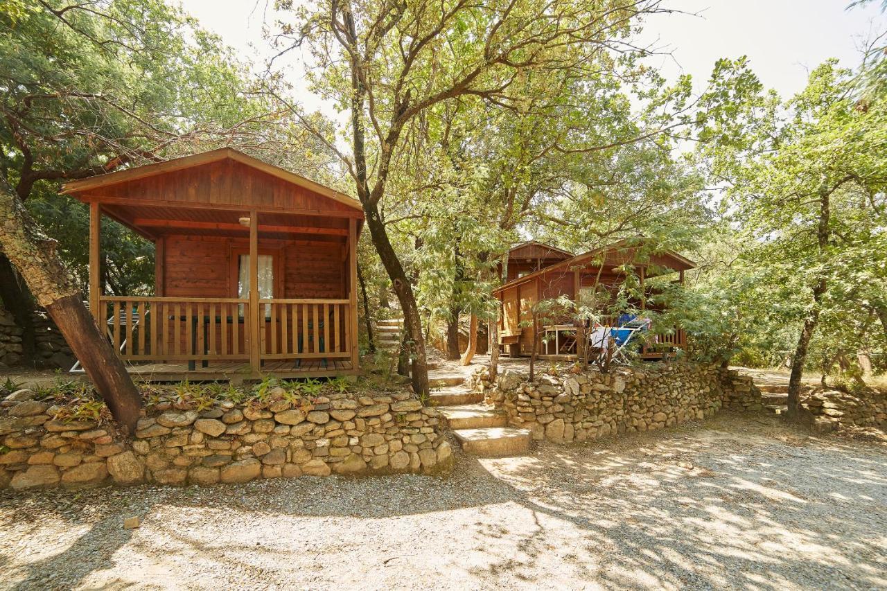 Camping Des Alberes Laroque-des-Alberes ภายนอก รูปภาพ